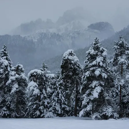 Appartement Casa Mimar By Bevalle