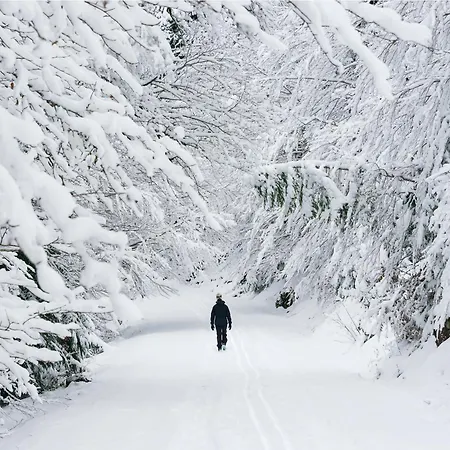 Casa Mimar By Bevalle *