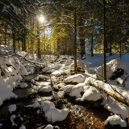 Appartement Casa Mimar By Bevalle *