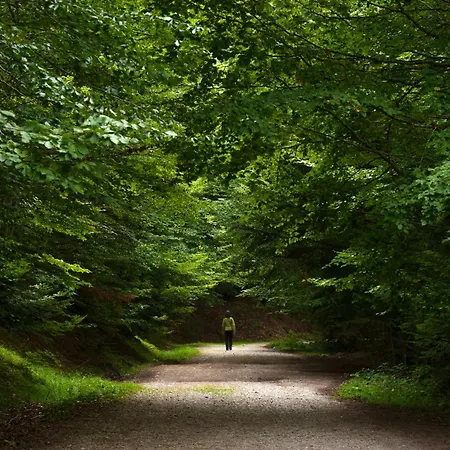 Casa Mimar By Bevalle パンティコサ