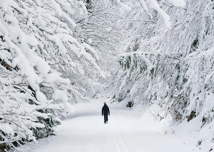 Casa Mimar By Bevalle *